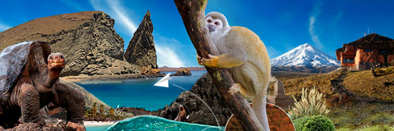 MidlandTravel1's profile banner image
