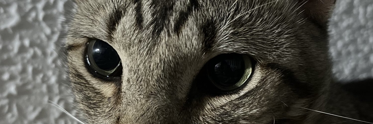 verocassas_'s profile banner image