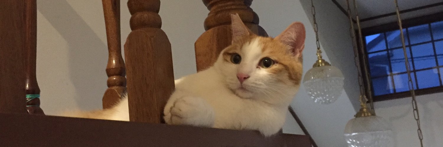 fukue3's profile banner image