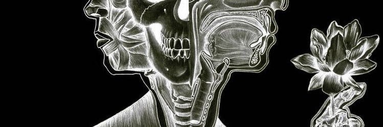 morsilens's profile banner image