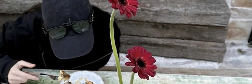 113% banner