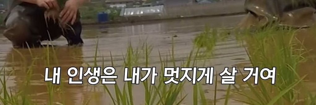 baek_chae's profile banner image