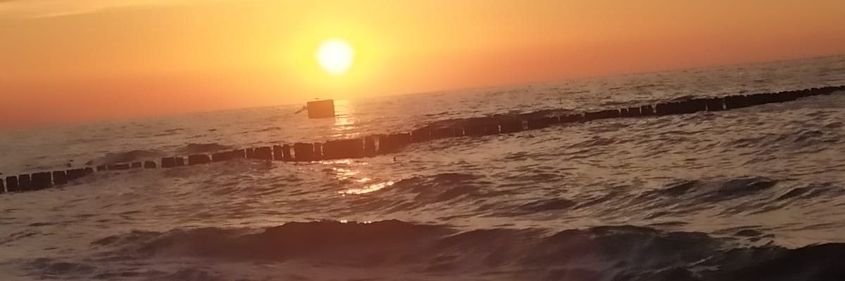 Basia81629858's profile banner image