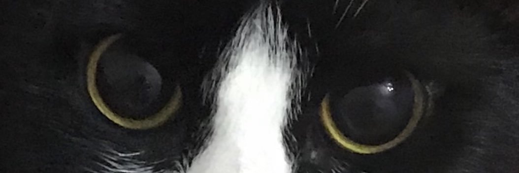 Etki banner