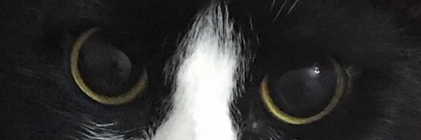 34etki Profile Banner