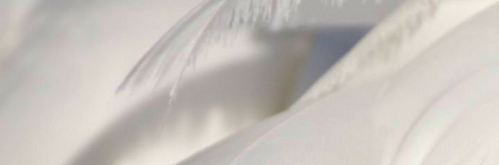 O28xxP's profile banner image