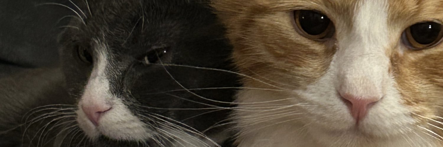 juananas_'s profile banner image