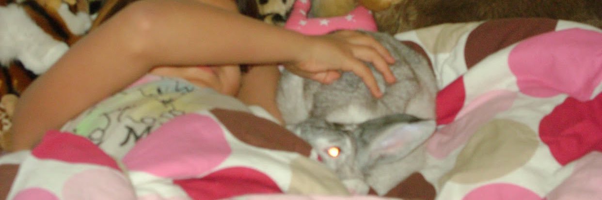 _chloe_strahan's profile banner image