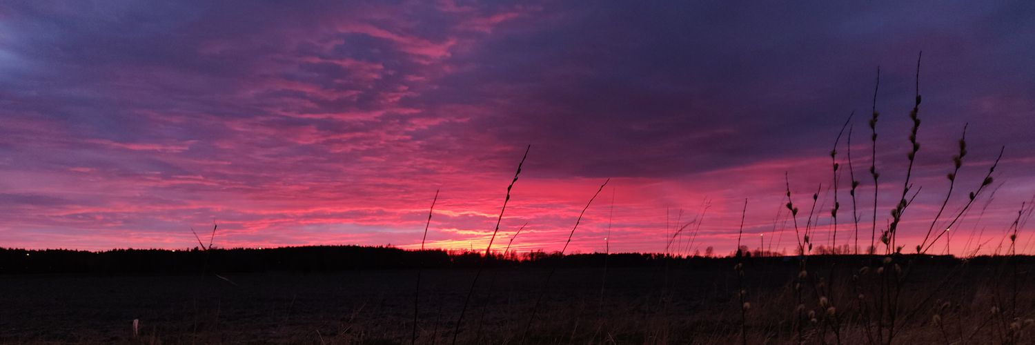 Rahmqvist1's profile banner image