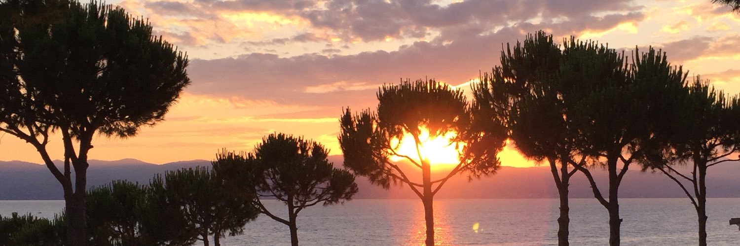 kgizemdal's profile banner image