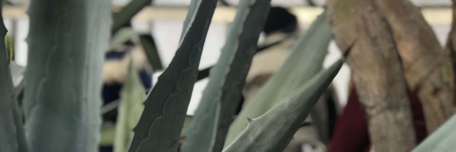 hungrybottom5's profile banner image