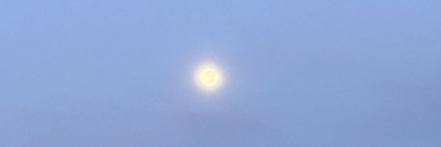Clarabbernardes's profile banner image
