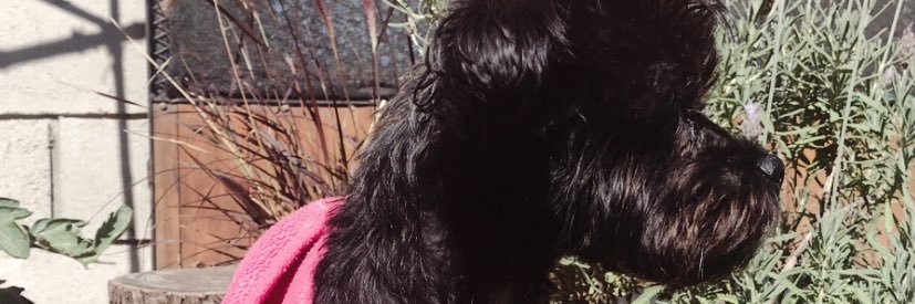 belarce_'s profile banner image