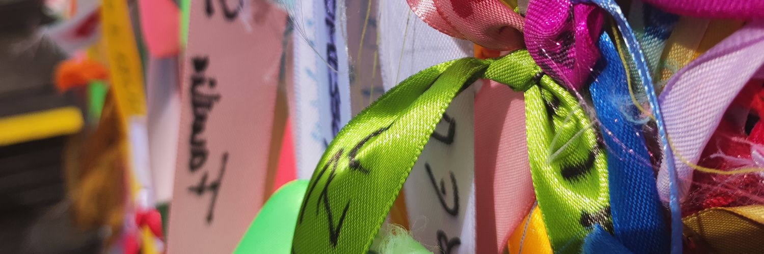 Clara Coso's banner