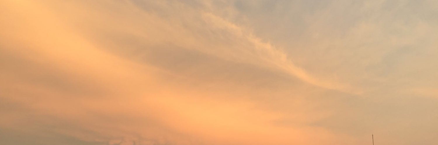 SSS22002844's profile banner image