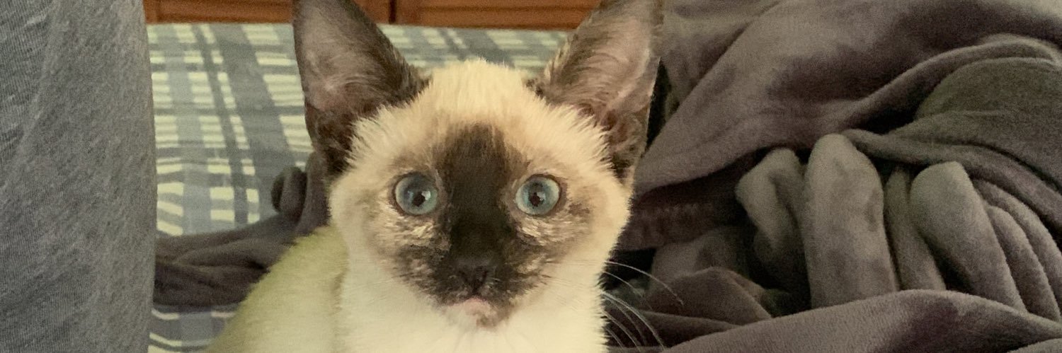 César Escajeda banner