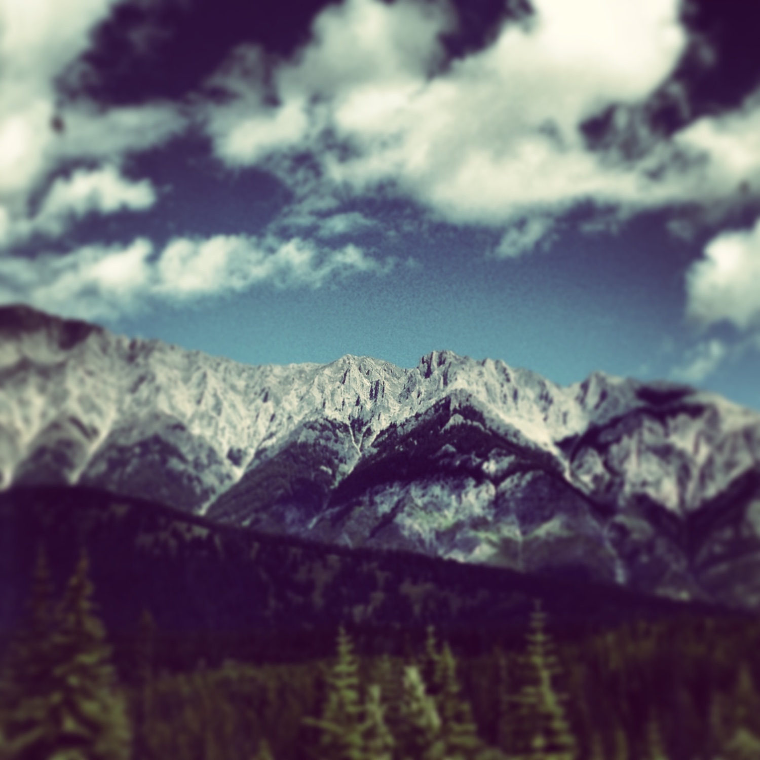 mbwaldie's profile banner image