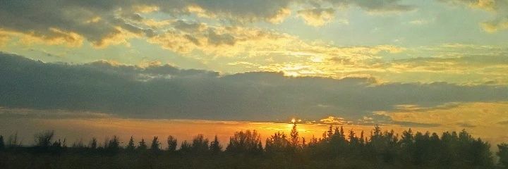 didooist's profile banner image