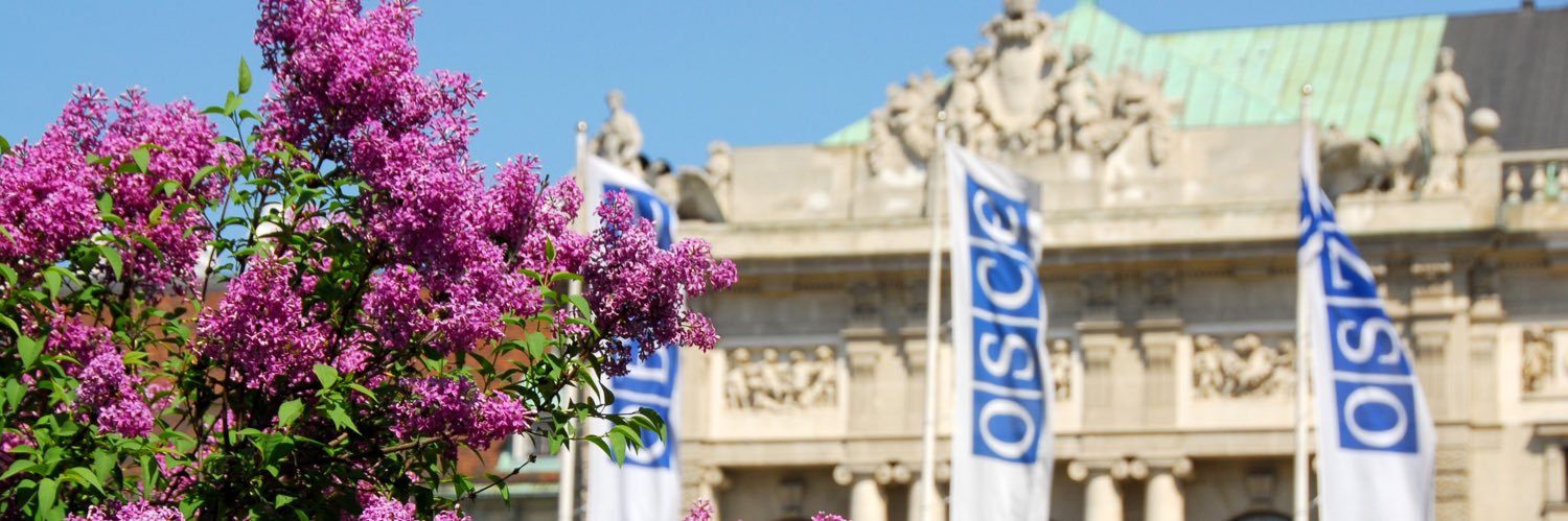 Permanent Mission of Ireland to the OSCE banner