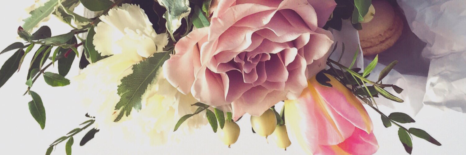 SonyaVamp's profile banner image