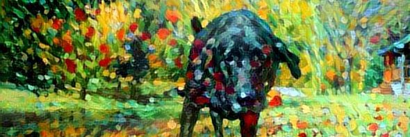 Reverend Ray Ray McRaybob and 69 others banner