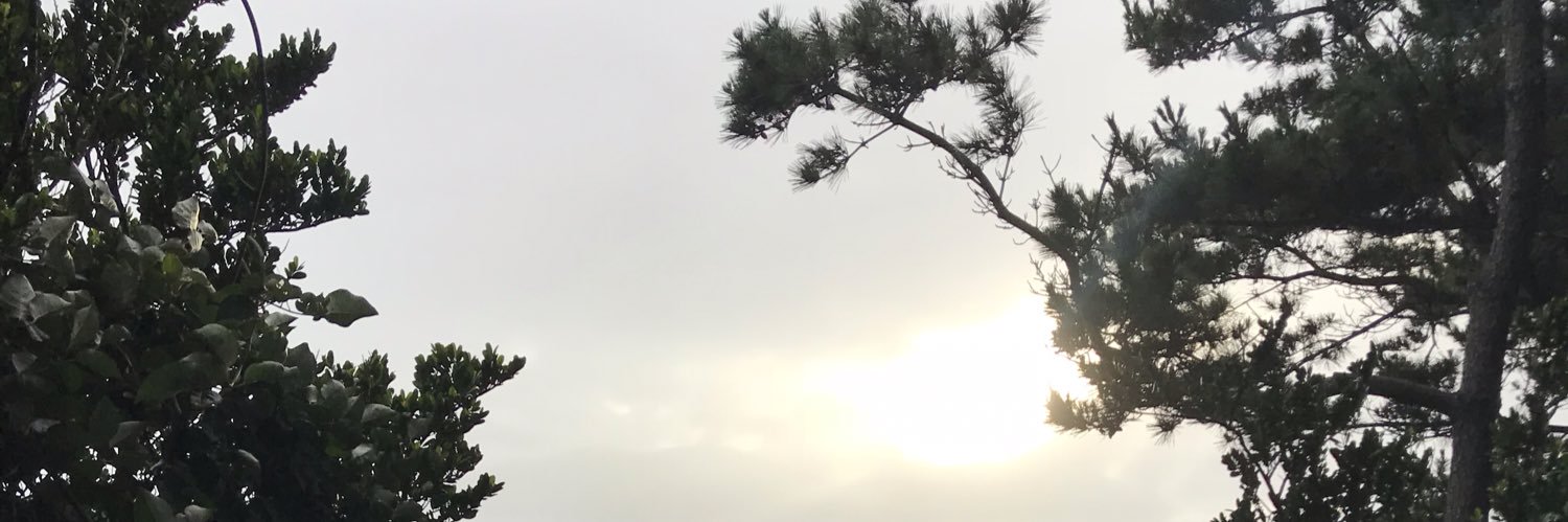 أ.د. عاصم الفدّا banner