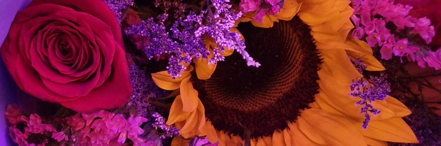 MildFerW's profile banner image