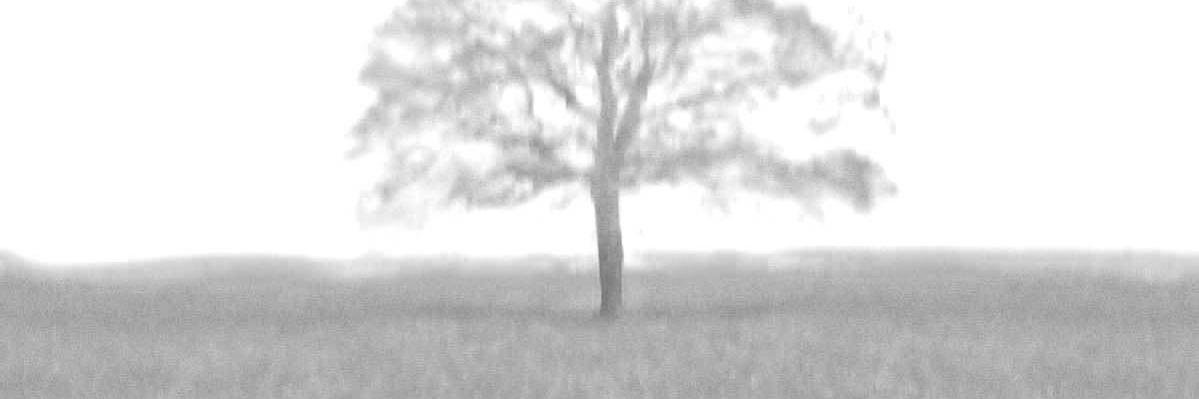 Frederick van Amstel banner