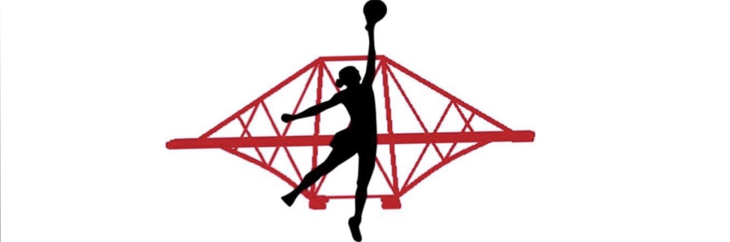 Ferry Flyers - Adult and Junior Netball Club banner