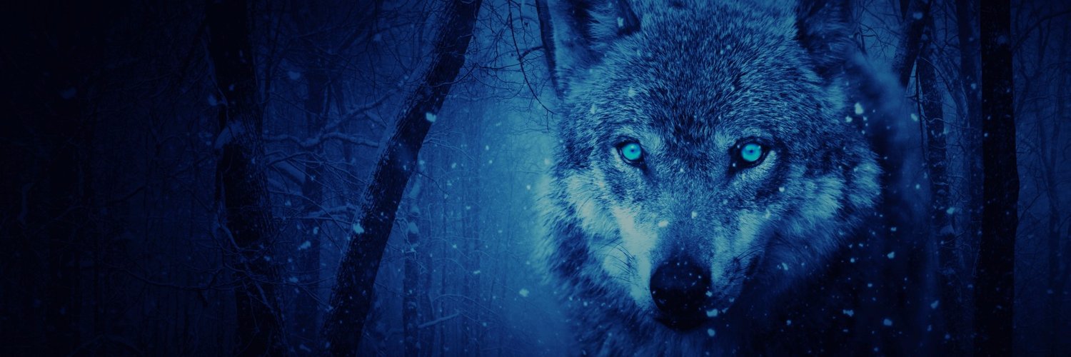 Argy_MA's profile banner image