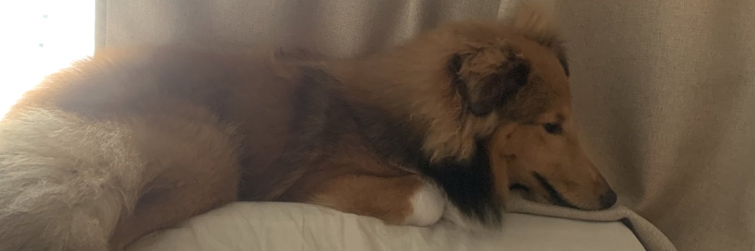 dreadfulbrian's profile banner image