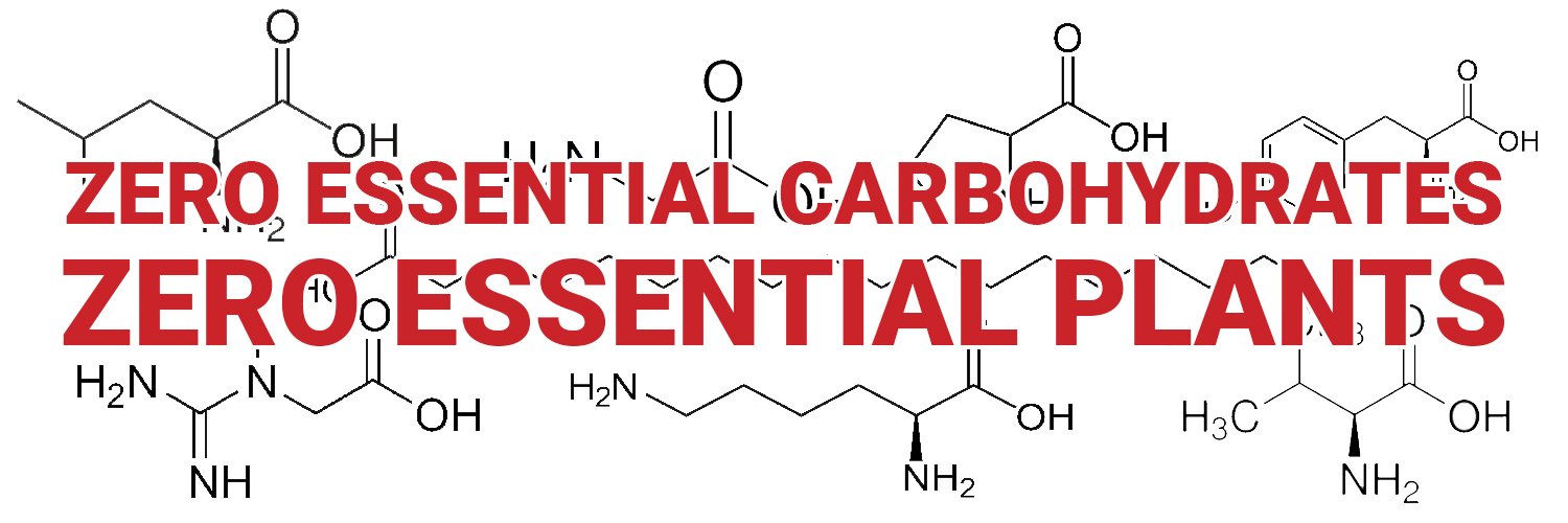 Thecarnivorous1's profile banner image