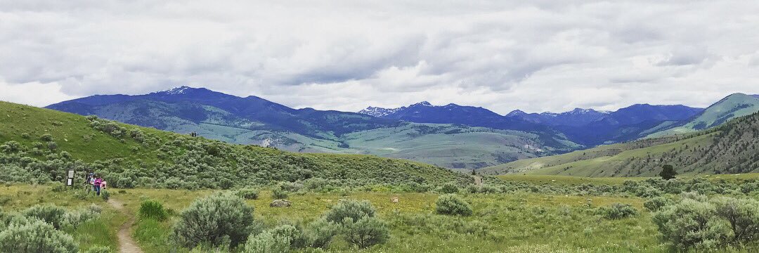 Sarah Strong, PT, DPT banner