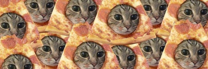 Brandon1North's profile banner image
