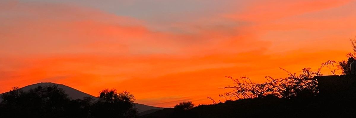 PinesMichelle's profile banner image