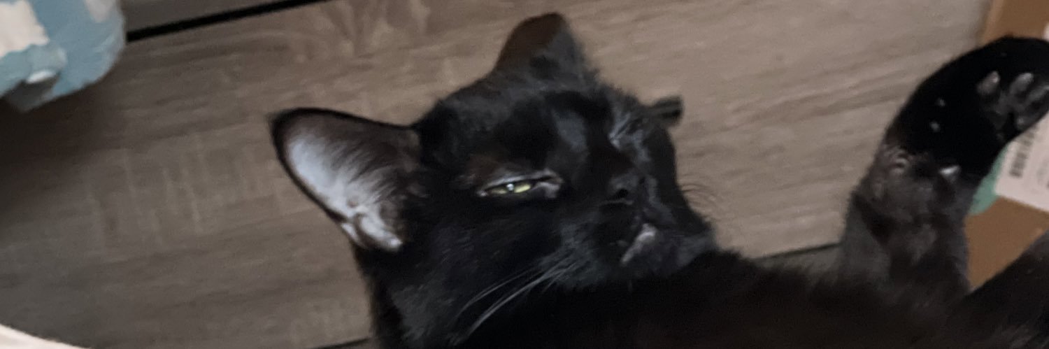 jenniwithanim's profile banner image