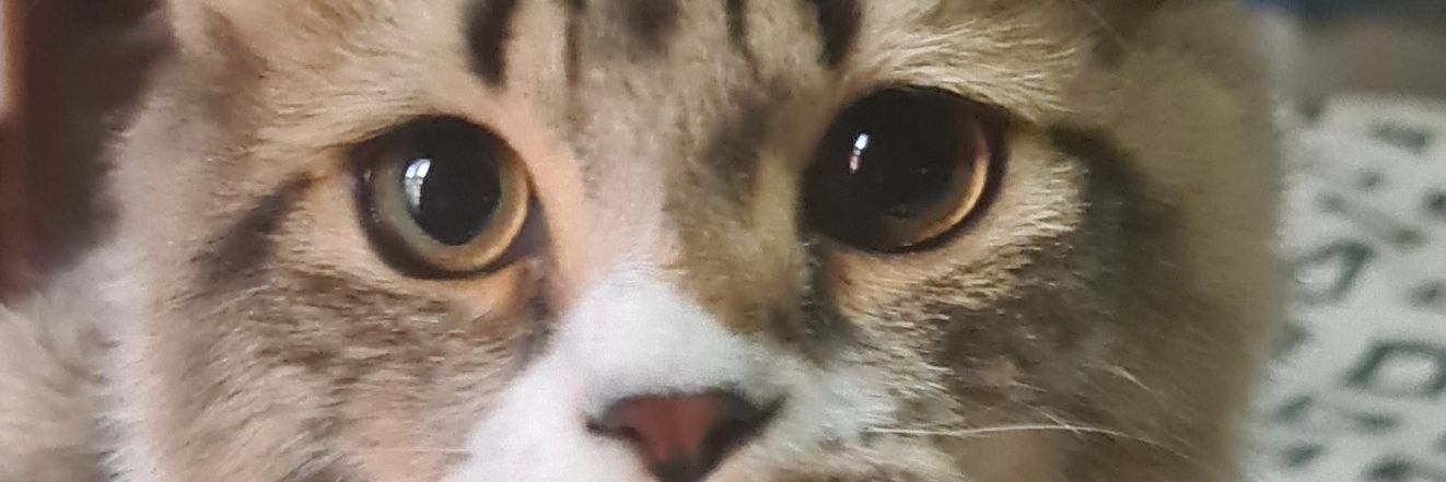 ひろ(Hiro) banner