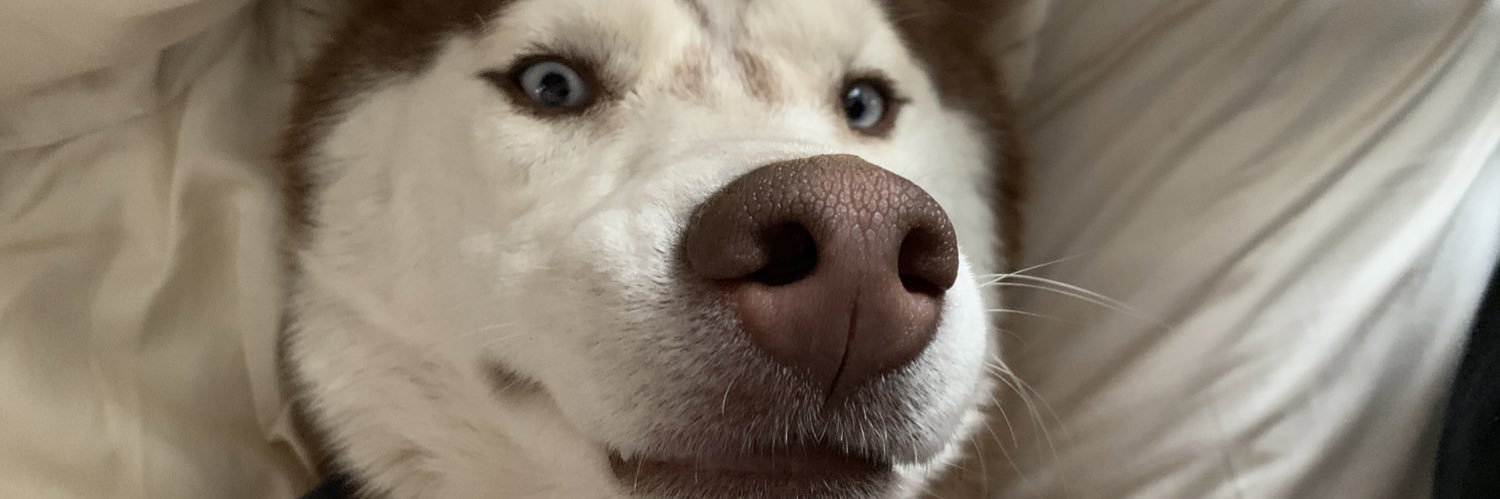 t3ssarose's profile banner image