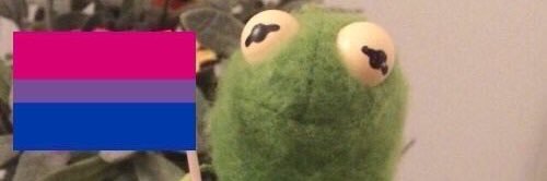 bisexuaIcore's profile banner image