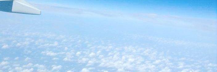 eloisaoli's profile banner image