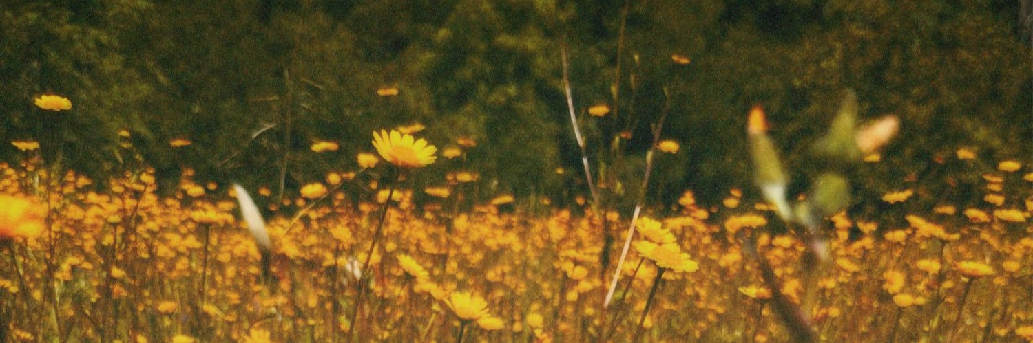 letsfgg's profile banner image