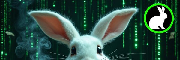 crypto_conno888 Profile Banner