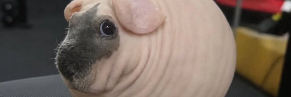 m3ga_lolz's profile banner image