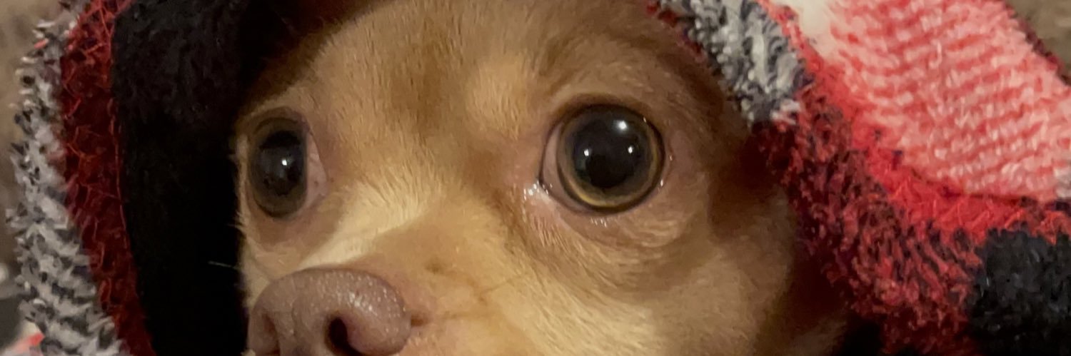 Dylan_Streets banner