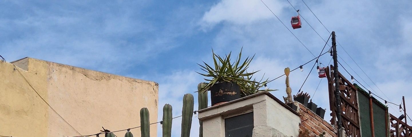 maximdlp's profile banner image