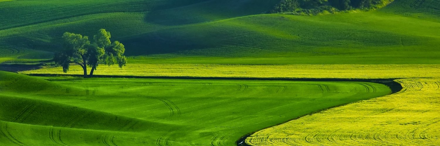 Gaylor Montmasson-Clair banner