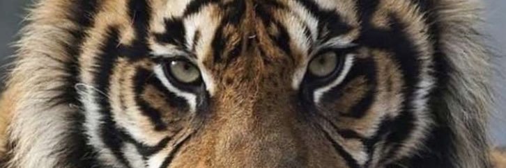 Smail_936's profile banner image