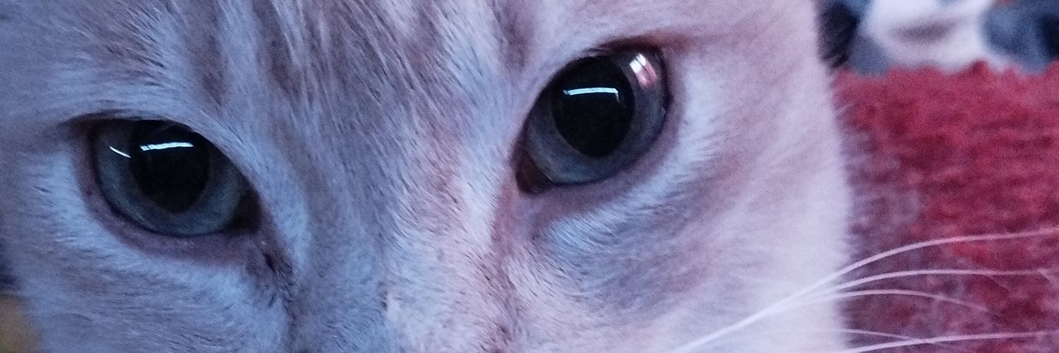 Florzii_'s profile banner image