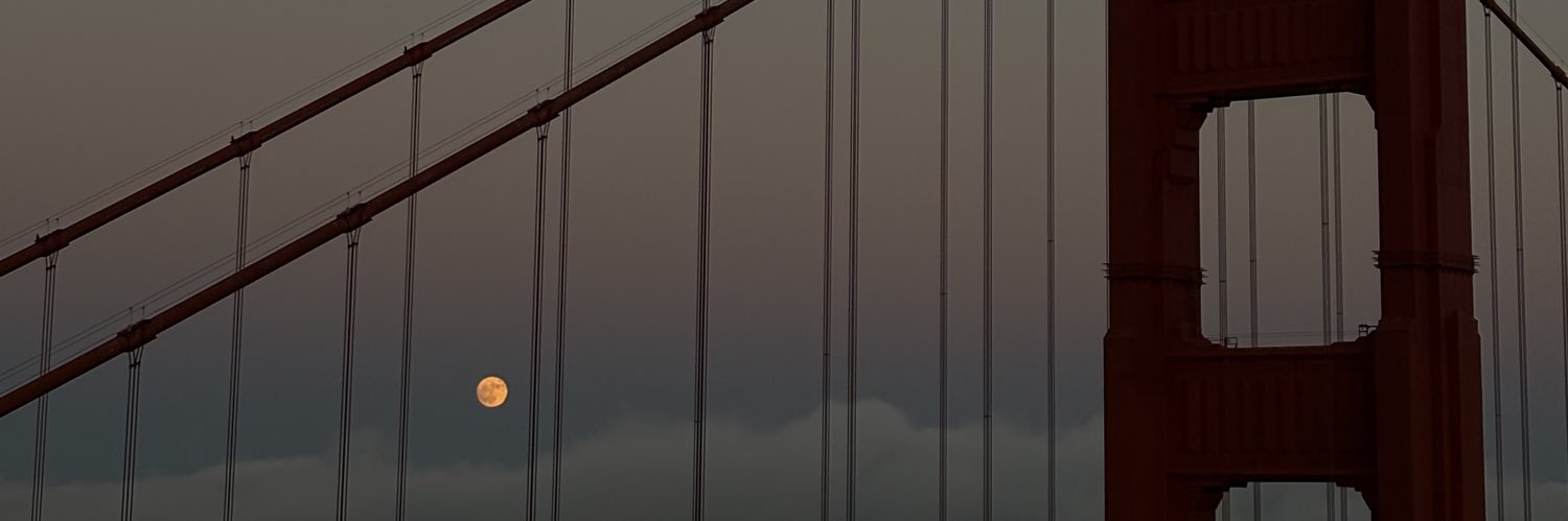 femcharspring's profile banner image
