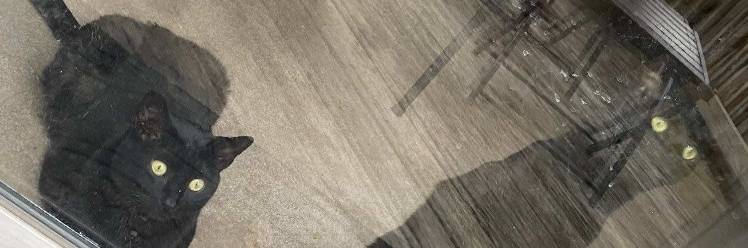 riedel_timothy's profile banner image